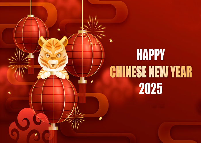 Happy Chinese New Year 2025